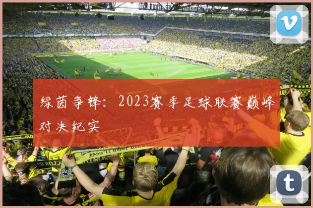 绿茵争锋：2023赛季足球联赛巅峰对决纪实